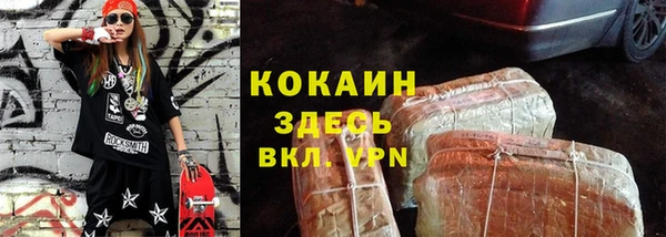 mdpv Бородино