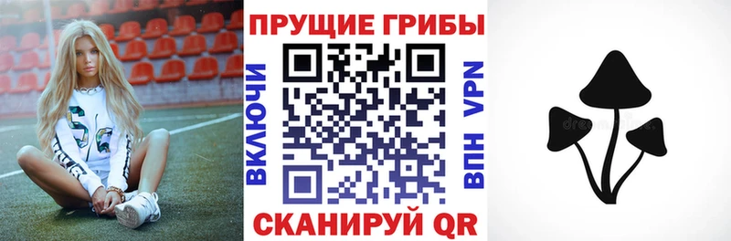 цена   Сретенск  Галлюциногенные грибы Psilocybe 